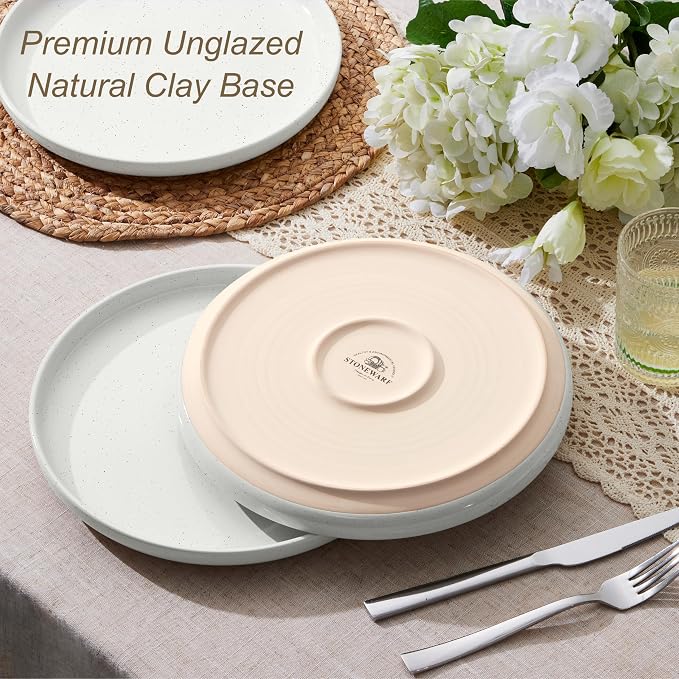 LIANYU Stoneware Dinner Plates Set of 6, 10.5 Inch Porcelain Dinner Plates - Image 8