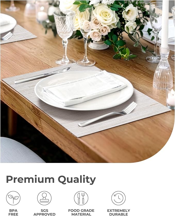 Leetaltree Pale Beige Placemats Set of 12 - Image 6